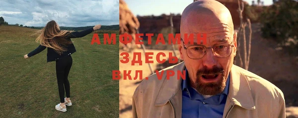сатива Волосово