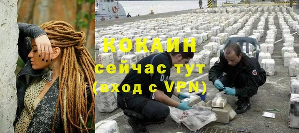 сатива Волосово