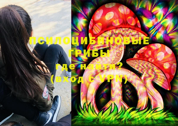 сатива Волосово