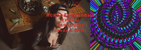 герыч Вяземский