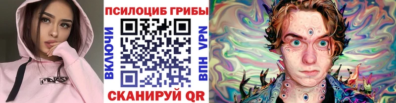 Галлюциногенные грибы Psilocybine cubensis  Купить  Старая Русса 